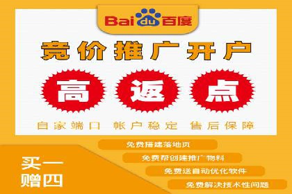 百度广告推广费用案例分享：从零到百万的飞跃